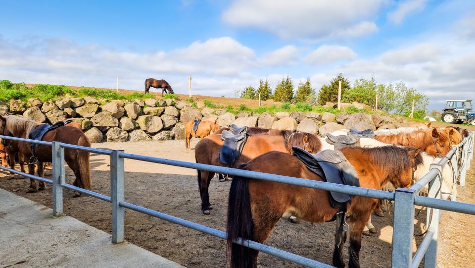 Reykjavik: Red Lava Horse Riding Tour - Inclusions and Exclusions