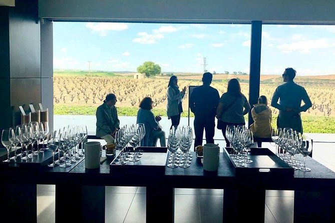 Ribera Del Duero Winery Guided Tour and Wine Tasting From Madrid - Tasting Experience at Local Wineries