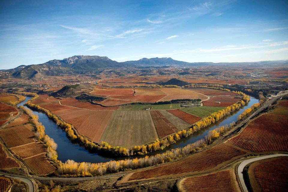 Rioja Alta and Rioja Alavesa Wine Tour (from Rioja) - Winery Visits and Guided Tours