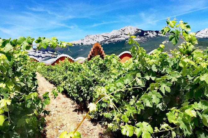 RIOJA UNCORKED - Private Enological Adventure - Hassle-Free Transportation and Accessibility