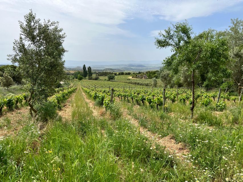 Rioja Wineries VIP Tour - Cultural and Gastronomic Integration