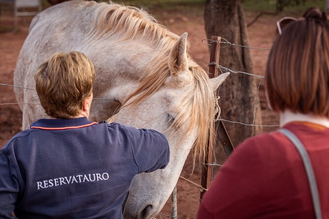 Ronda Nature Reserve Guided Tour - Bullfighting Training Ring