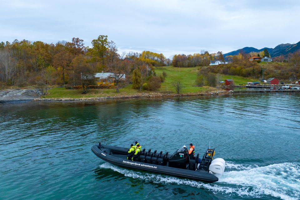 Rosendal Fjord Explore: RIB Adventure on the Hardangerfjord - Discovering Fjord Landscapes