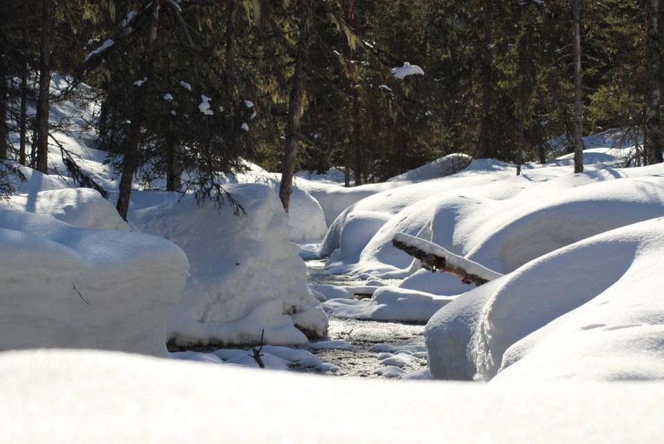 Rovaniemi: Korouoma Canyon and Frozen Waterfalls Tour - Hiking Through the Canyon