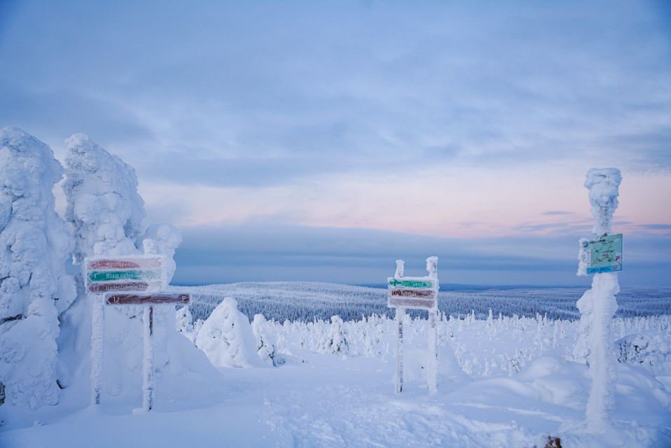 Rovaniemi: Riisitunturi National Park Day Trip With Lunch - Group Size and Sustainability