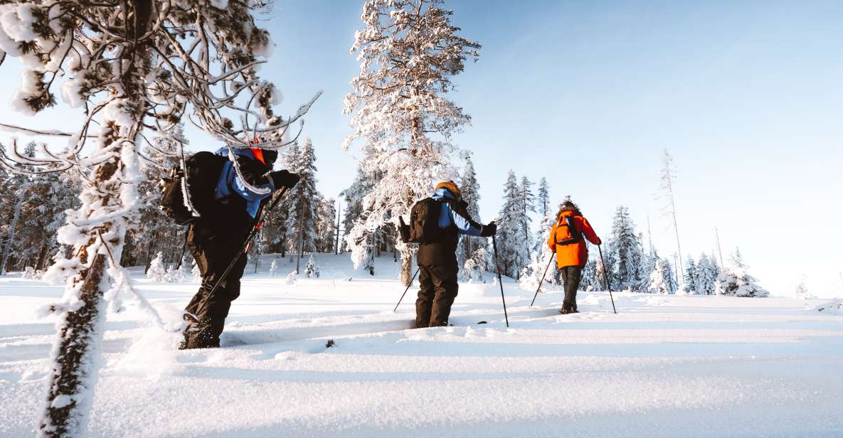 Rovaniemi: Ski Trekking Safari in Lapland - Marveling at Winter Landscapes