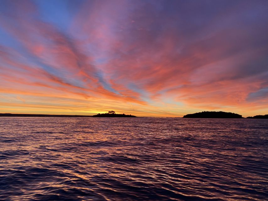 Rovinj: Sunrise Dolphin-Watching Speedboat Tour - Skippers Insights