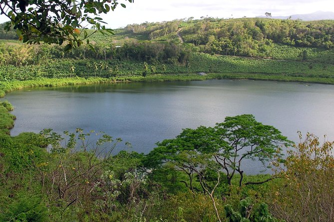 Rum Distilleries Tour (Clarke's Court &/ Water Powered River Antoine - Upgrade to Full-Day Adventure