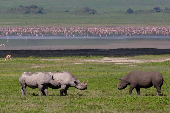 Safari in Tanzania 5 Days: Manyara, Ngorongoro, Serengeti - What to Bring