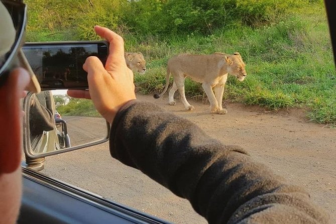 Safaris in Kruger National Park Full Day - Ecosystem and Wildlife