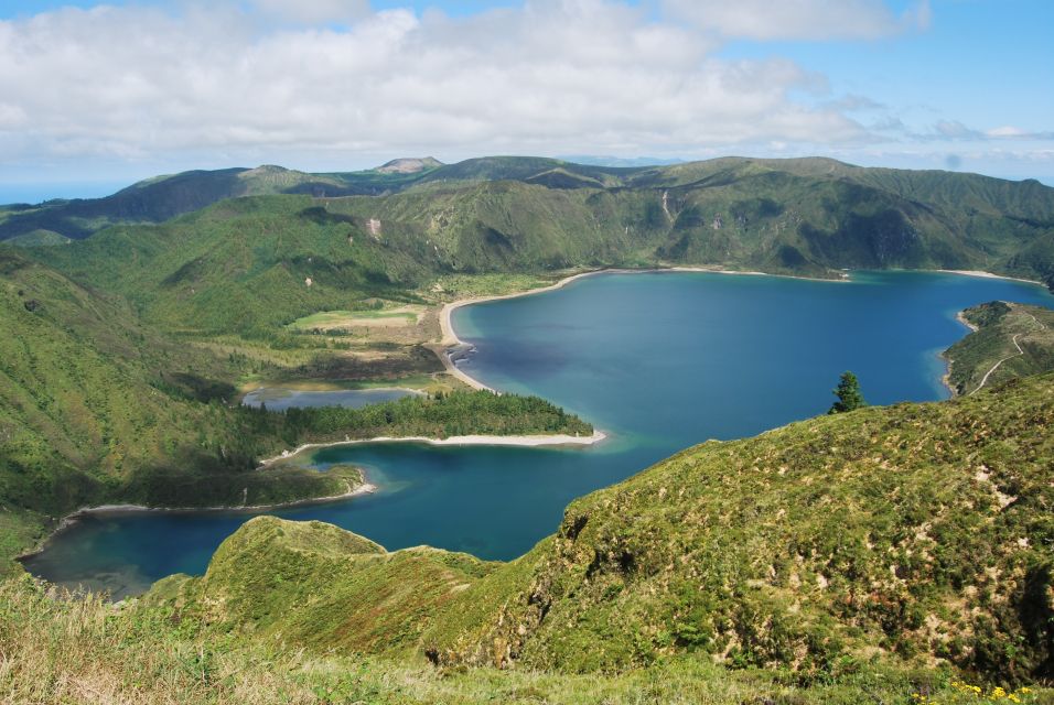 São Miguel: Whales & Volcano Full-Day Tour With Lunch - Volcanic Landscapes