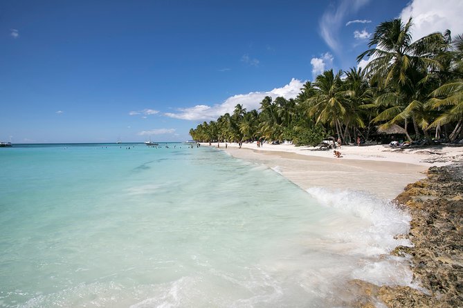 Saona Island Day Trip From Punta Cana With Lunch and Open Bar - Speedboat Ride to Saona Island