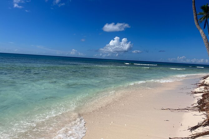 Saona Island: Small Group Tour on a Comfortable Boat - Medical Conditions