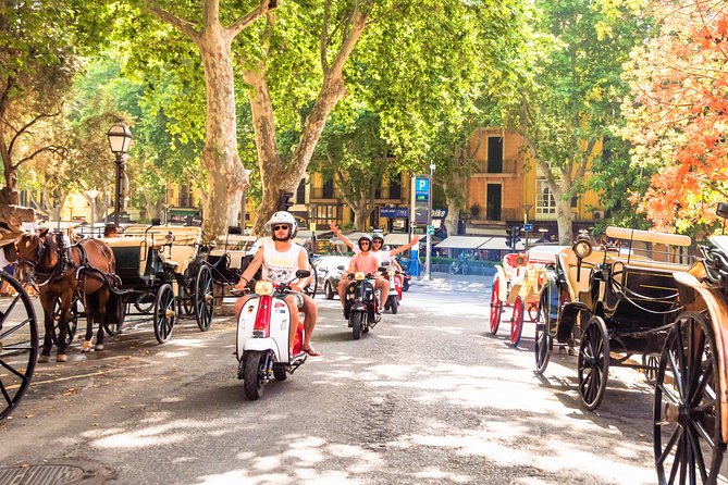 Scooter and Motorbike Rental to Explore Mallorca - Rental Inclusions and Features