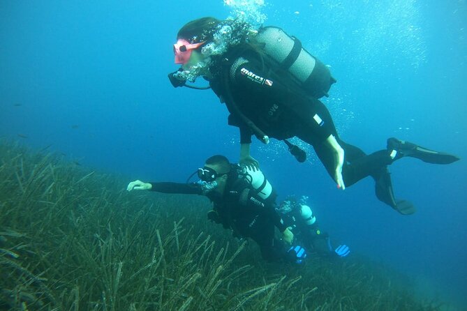Scuba Diving Experience in Santorini - Meeting Point and Start Time