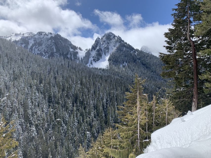 Seattle: Mt. Rainier Hiking W/ Waterfalls, Glaciers & Trees - Natural Wonders