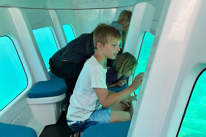 Semi-Submarine: Visit to the Seabed of Porto Bay - Review Highlights