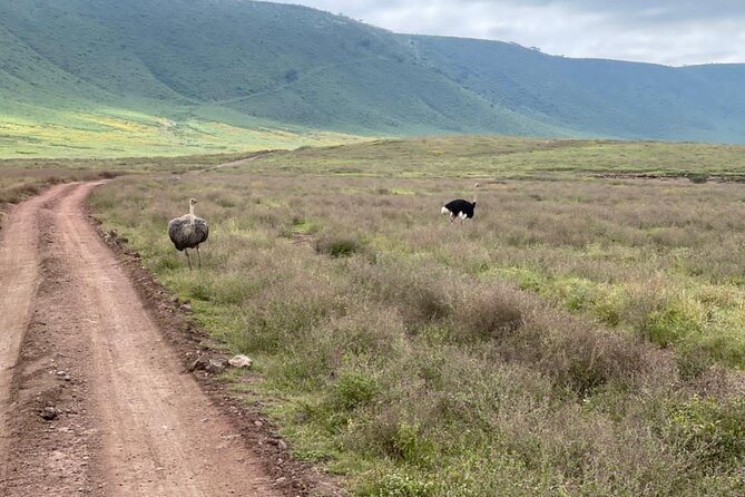 Serengeti and Ngorongoro Crater Private Lodge Tour (3 Days) - Confirmation and Accessibility