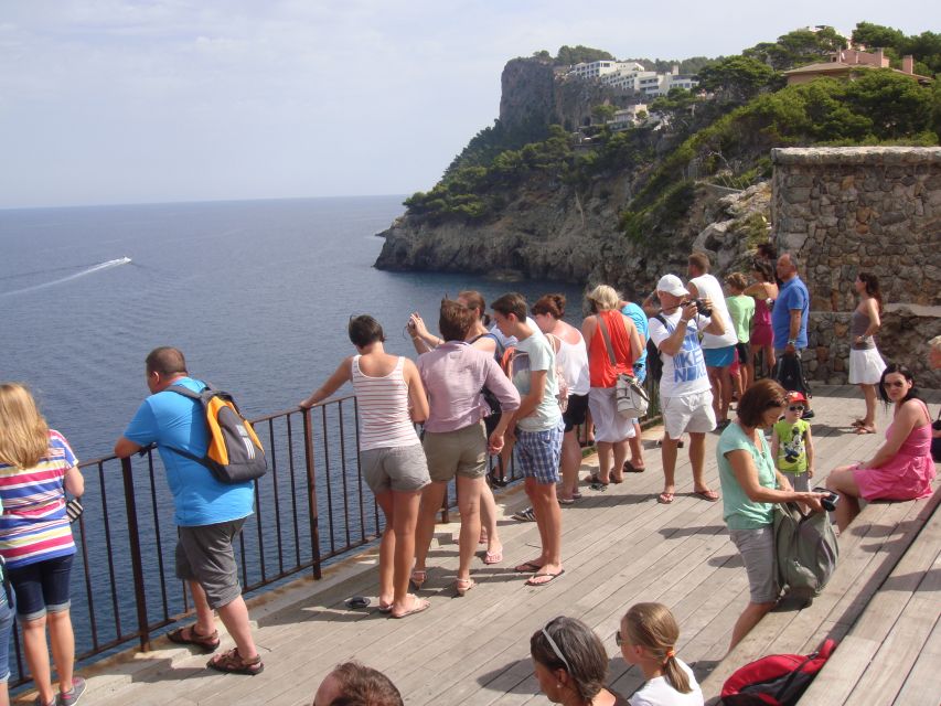 Serra De Tramuntana Half-Day Tour: Soller and Valldemosa - Train Journey to Soller