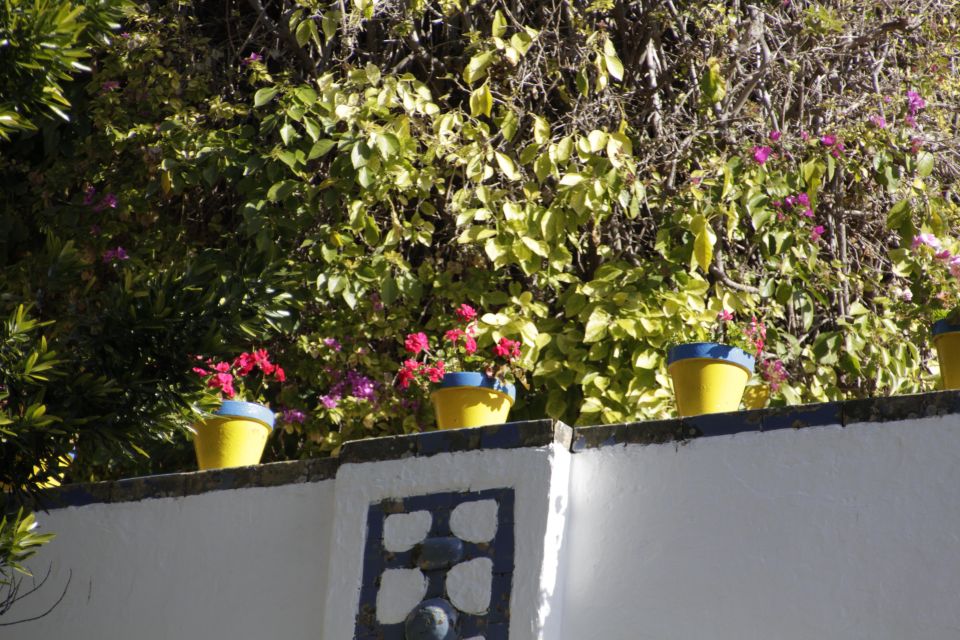 Seville: Duenas Palace Private Tour - Andalusian Courtyard and Gardens