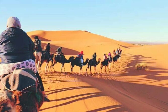 Shared 3 Days Fes Desert Tours to Marrakech - Itinerary