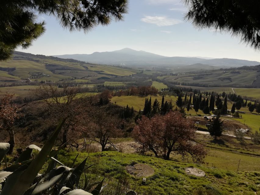 Siena - Rome Transfer Tour With Orvieto & Montepulciano - The Magnificent Orvieto Cathedral