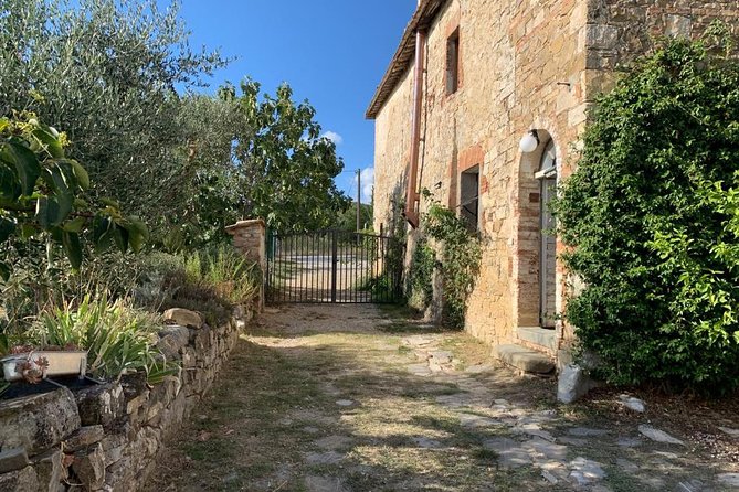 Siena: Small Group Cooking Class in Chianti Farmhouse - Typical Tuscan Dessert