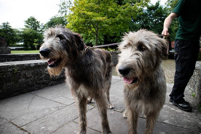 Skip the Line: Bunratty Castle and Folk Park Admission Ticket - Live Entertainment and Activities