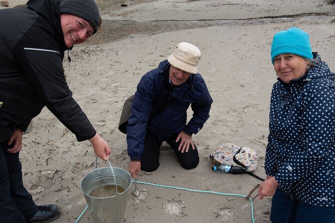 Small-group Arctic Landscapes Sightseeing - With Citizen Science - From Tromso - Meeting Point and Pickup