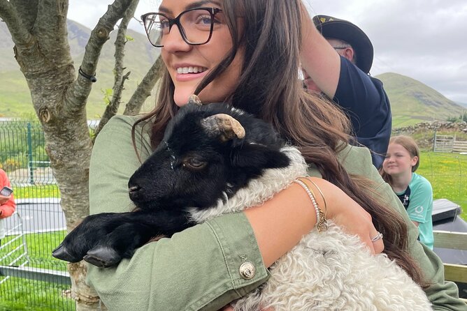 Small Group Aughnanure Castle, Sheepdog Demo & Connemara Tour - Exploring Connemara Region