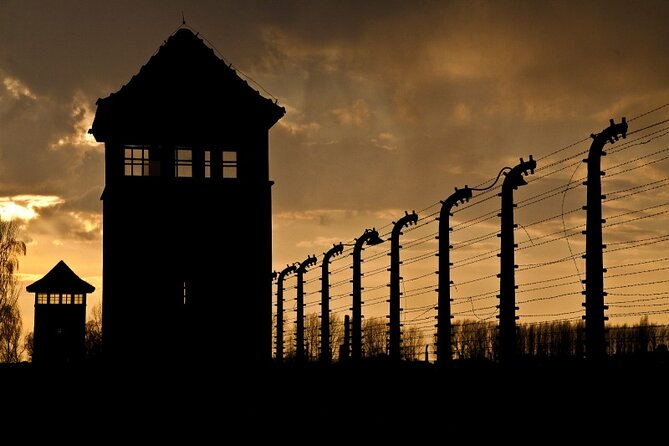 Small Group Auschwitz-Birkenau Guided Tour From Krakow ABTA - Highlights of the Camps