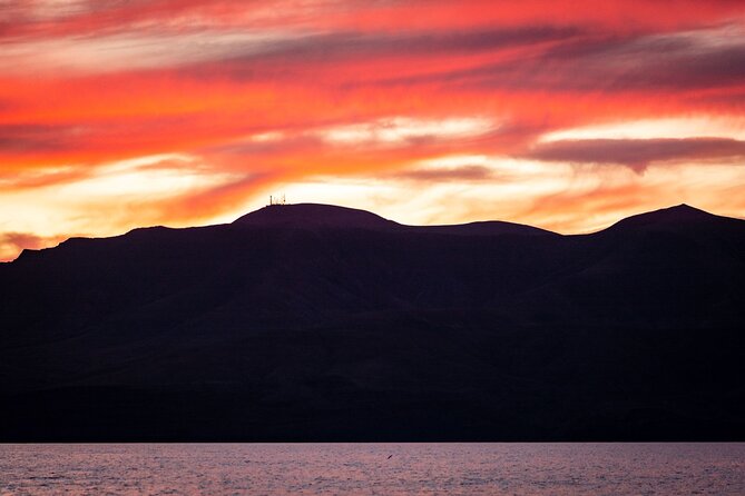 Small Group Dolphin Sunset Tour on Electric Catamaran Lanzarote - Accessibility Considerations