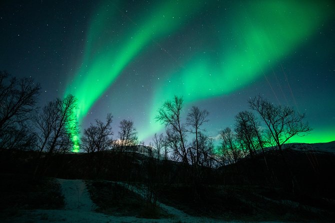 Small Group Northern Lights Chase From Tromso - Expertly Guided Adventure