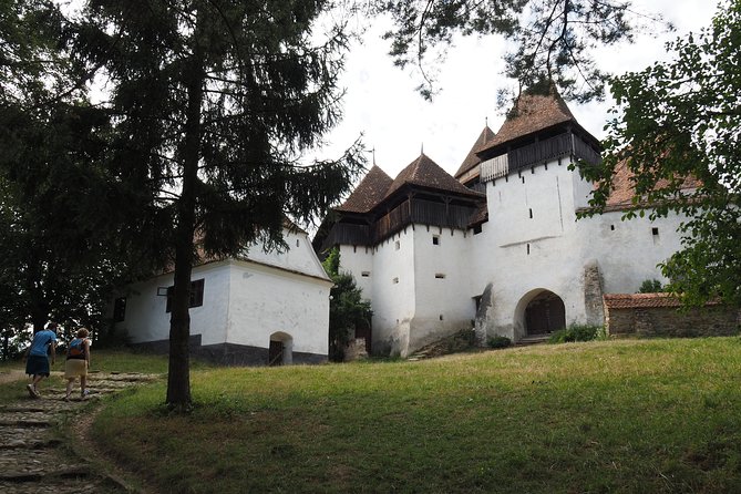 Small Group Tour to Viscri Church Sighisoara Town Rupea Fortress - Rupea Fortress Exploration
