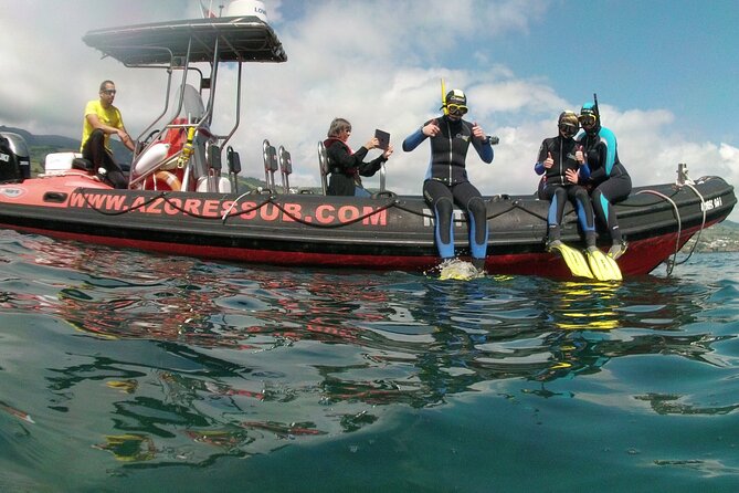 Snorkeling in Vila Franca Do Campo - Suitability and Accessibility