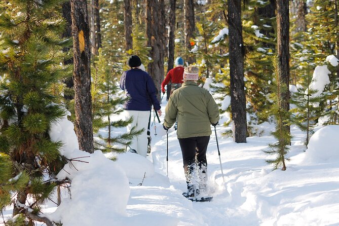 Snowshoeing at The Top of The Sea to Sky Gondola - Cancellation Policy