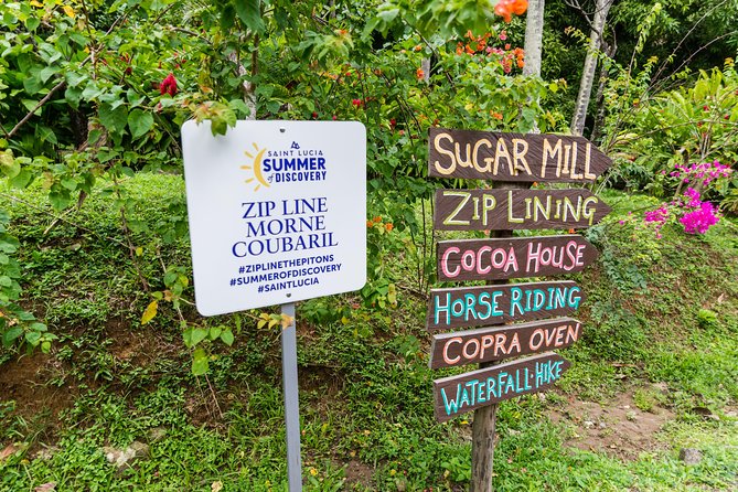 Soufriere Excursion With Rum & Chocolate Tasting - Reviews and Feedback