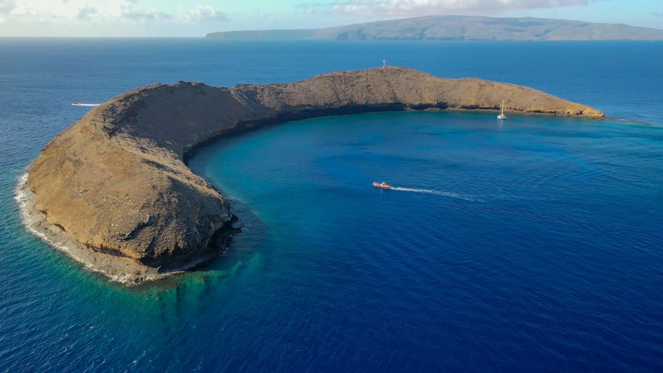 South Maui: Molokini Crater and Turtle Town Snorkeling Trip - Local Snacks and Whale Watching