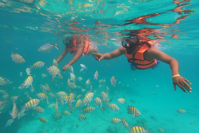 Speedboat Adventure to Snorkeling Spot and Natural Pool - Booking Details