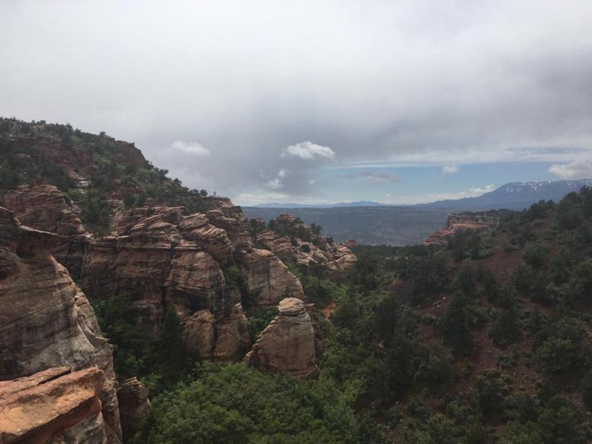 Springdale: Half-Day Canyoneering Experience - Inclusions and What to Expect