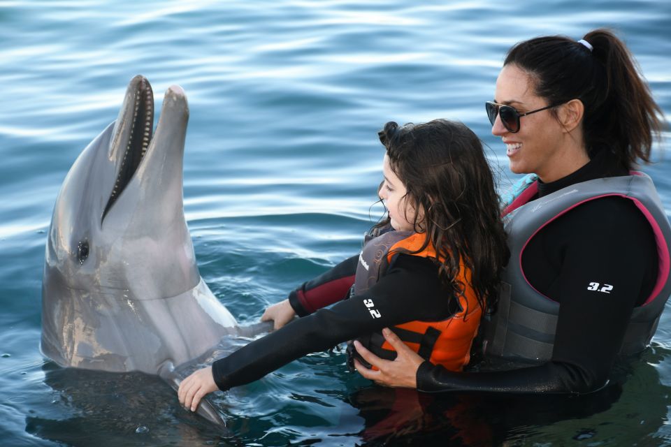 St. Augustine: Marineland Dolphin Encounter - Getting to Marineland Dolphin Adventure