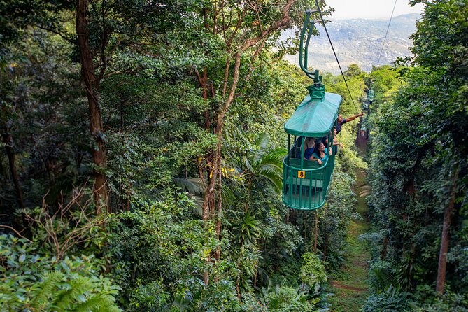 St. Lucia Aerial Tram Tour at Rainforest Adventures - Logistics and Meeting Point