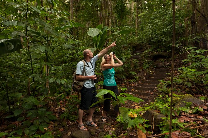 St Lucia Jacquot Trail Hike at Rainforest Adventures - Endangered Wildlife Spotting