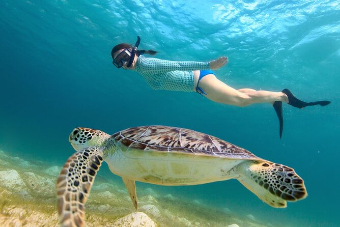 St. Thomas Maho Bay Turtle Snorkel Sail - Ritz-Carlton - Savoring the Picnic Lunch