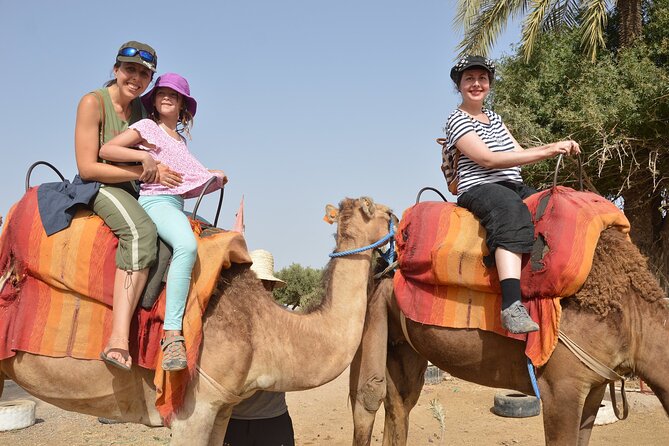 Sunset Camel Ride in Agadir or Taghazout With Transfers - Pickup and Transfers