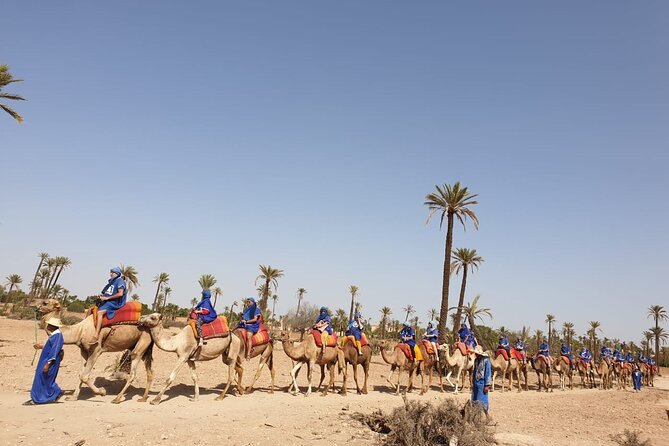 Sunset Camel Ride Marrakech Palmeraie - Refreshing Mint Tea Included