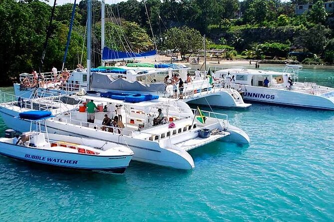 Sunset Catamaran Cruise, Snorkeling and Ricks Cafe - Pricing and Bookings