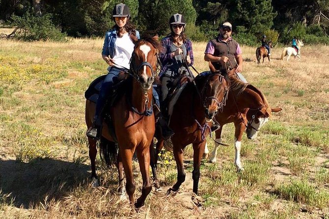 Sunset Ride With Romantic Dinner in Rome - Varied Riding Levels