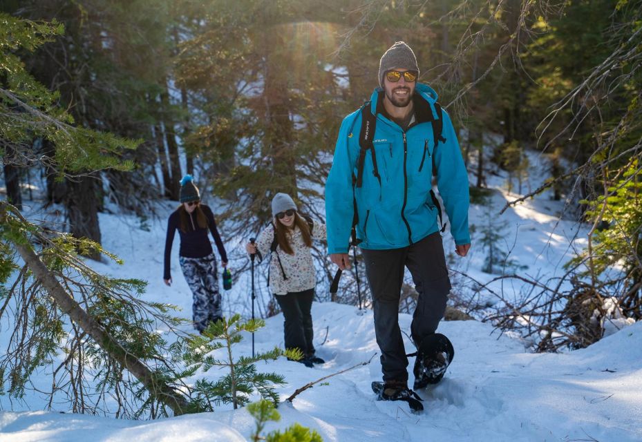 Sunset Snowshoe Guided Hike - Scenic Experience