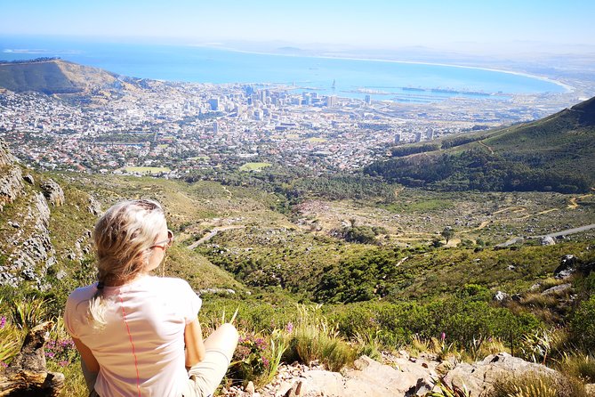 Table Mountain Half Day Hike: Platteklip Gorge - Customer Experiences